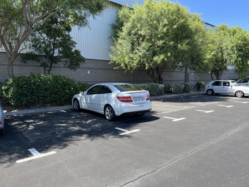 To Let commercial Property for Rent in Montague Gardens Western Cape